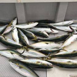 ミタチ丸 釣果