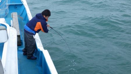 阿波哲 釣果