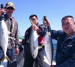 海龍丸（福岡） 釣果