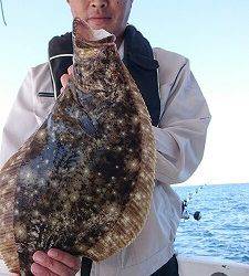 海龍丸（福岡） 釣果