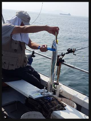 内浜丸 釣果