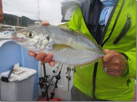 海正丸 釣果