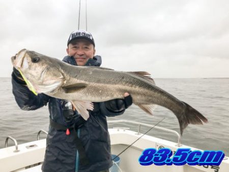 オーシャンマスター 釣果