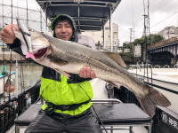 オーシャンマスター 釣果