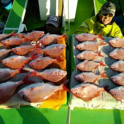 横内丸 釣果