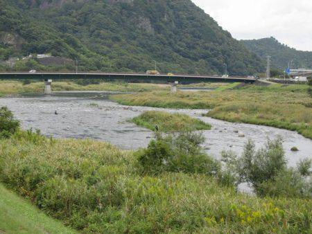 狩野川（狩野川漁業協同組合） 釣果