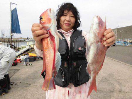 大進丸（新潟） 釣果