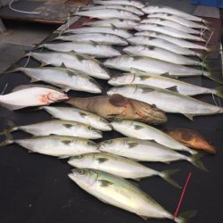 幸風（さちかぜ） 釣果