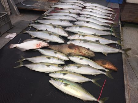 幸風（さちかぜ） 釣果