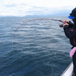 遊漁船ブルーウッズ 釣果