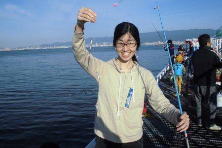 尼崎市立魚つり公園 釣果