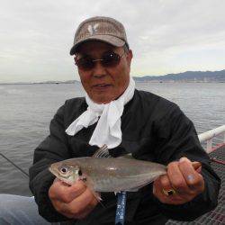 尼崎市立魚つり公園 釣果