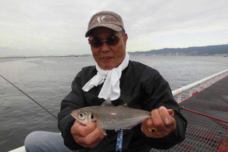 尼崎市立魚つり公園 釣果