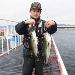 尼崎市立魚つり公園 釣果