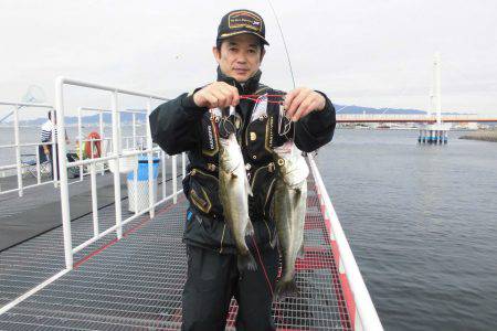 尼崎市立魚つり公園 釣果