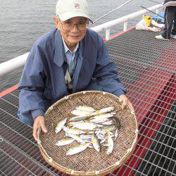 尼崎市立魚つり公園 釣果