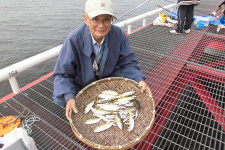 尼崎市立魚つり公園 釣果