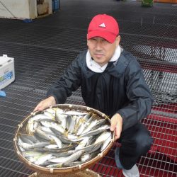 尼崎市立魚つり公園 釣果