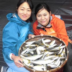 尼崎市立魚つり公園 釣果