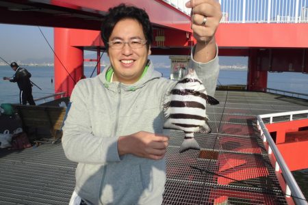 尼崎市立魚つり公園 釣果