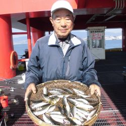 尼崎市立魚つり公園 釣果