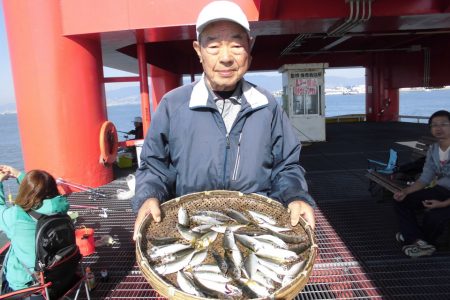 尼崎市立魚つり公園 釣果