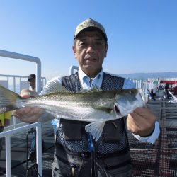 尼崎市立魚つり公園 釣果