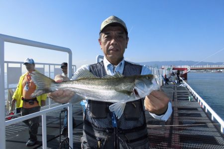 尼崎市立魚つり公園 釣果