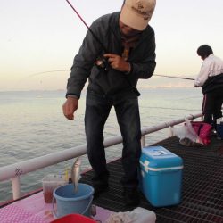 尼崎市立魚つり公園 釣果