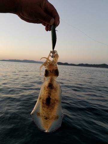 遊漁船　ニライカナイ 釣果