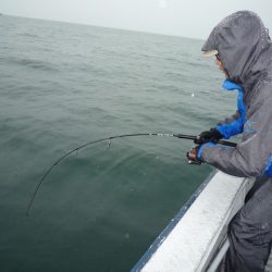 浅間丸 釣果