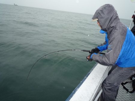 浅間丸 釣果