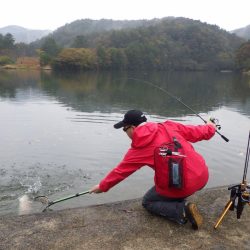 フィッシングレイクたかみや 釣果