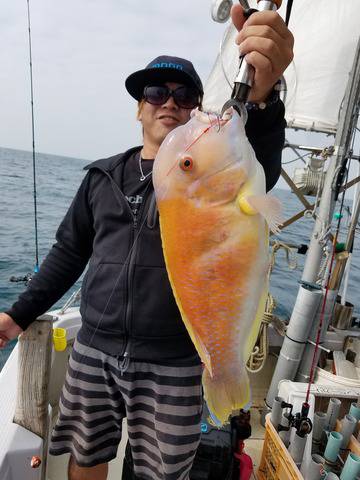 遊漁船　ニライカナイ 釣果