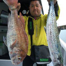 ミタチ丸 釣果