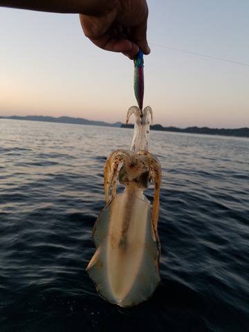 遊漁船　ニライカナイ 釣果