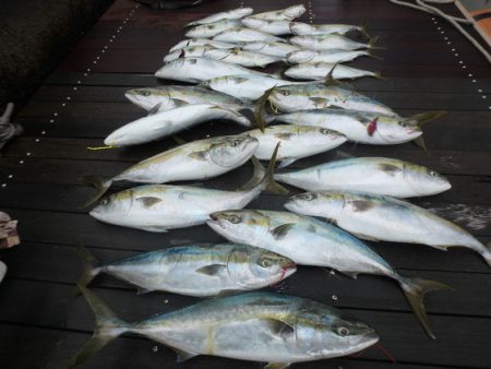 美里丸 釣果