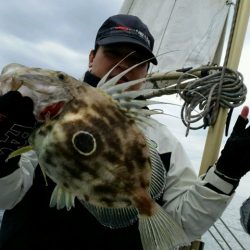 つれ鷹丸 釣果