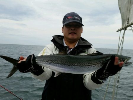 つれ鷹丸 釣果