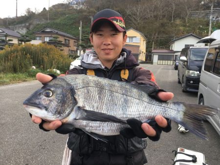 由良渡船 釣果