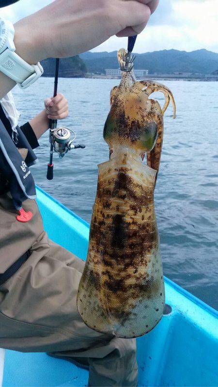 宝昌丸 釣果