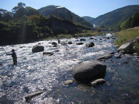 狩野川（狩野川漁業協同組合） 釣果