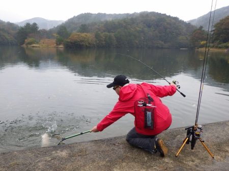 フィッシングレイクたかみや 釣果