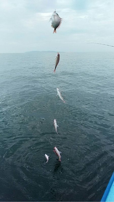 宝昌丸 釣果