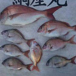 網屋丸 釣果