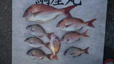 網屋丸 釣果