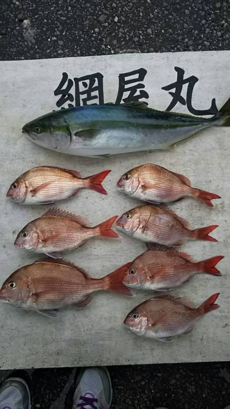 網屋丸 釣果