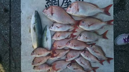 網屋丸 釣果