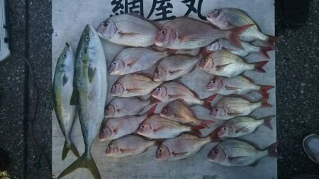 網屋丸 釣果