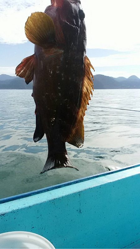 宝昌丸 釣果